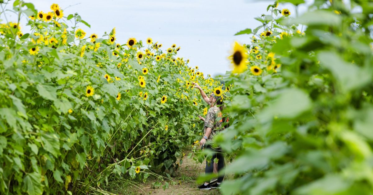 Fall Activities in Baton Rouge | Festivals, Hiking & Dining | Visit ...