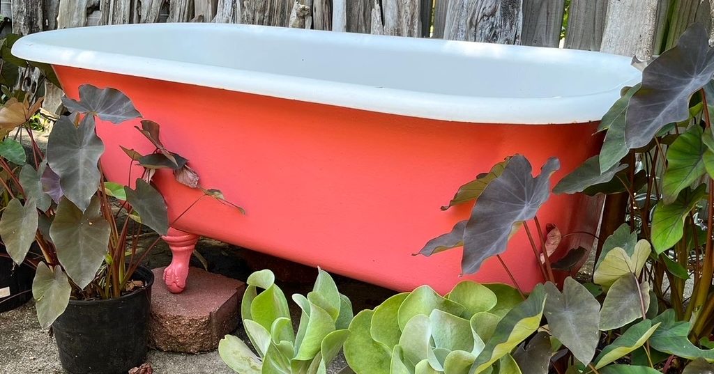 Baton Rouge Succulent Co. | Visit Baton Rouge